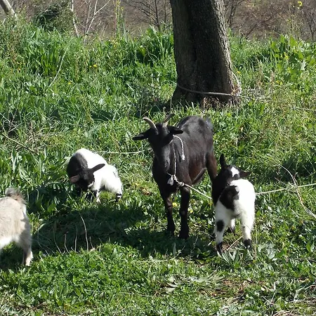 La Masseriola Agriturismo *
