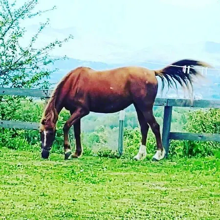 La Masseriola Agriturismo