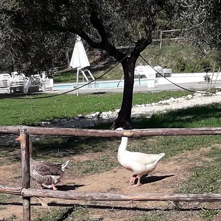 La Masseriola Agriturismo Κατάλυμα σε φάρμα *