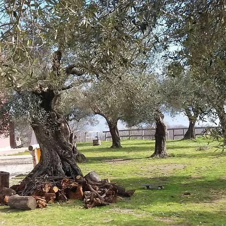 La Masseriola Agriturismo * Caianello Vecchio